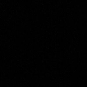 Meet your Posher, Ashton